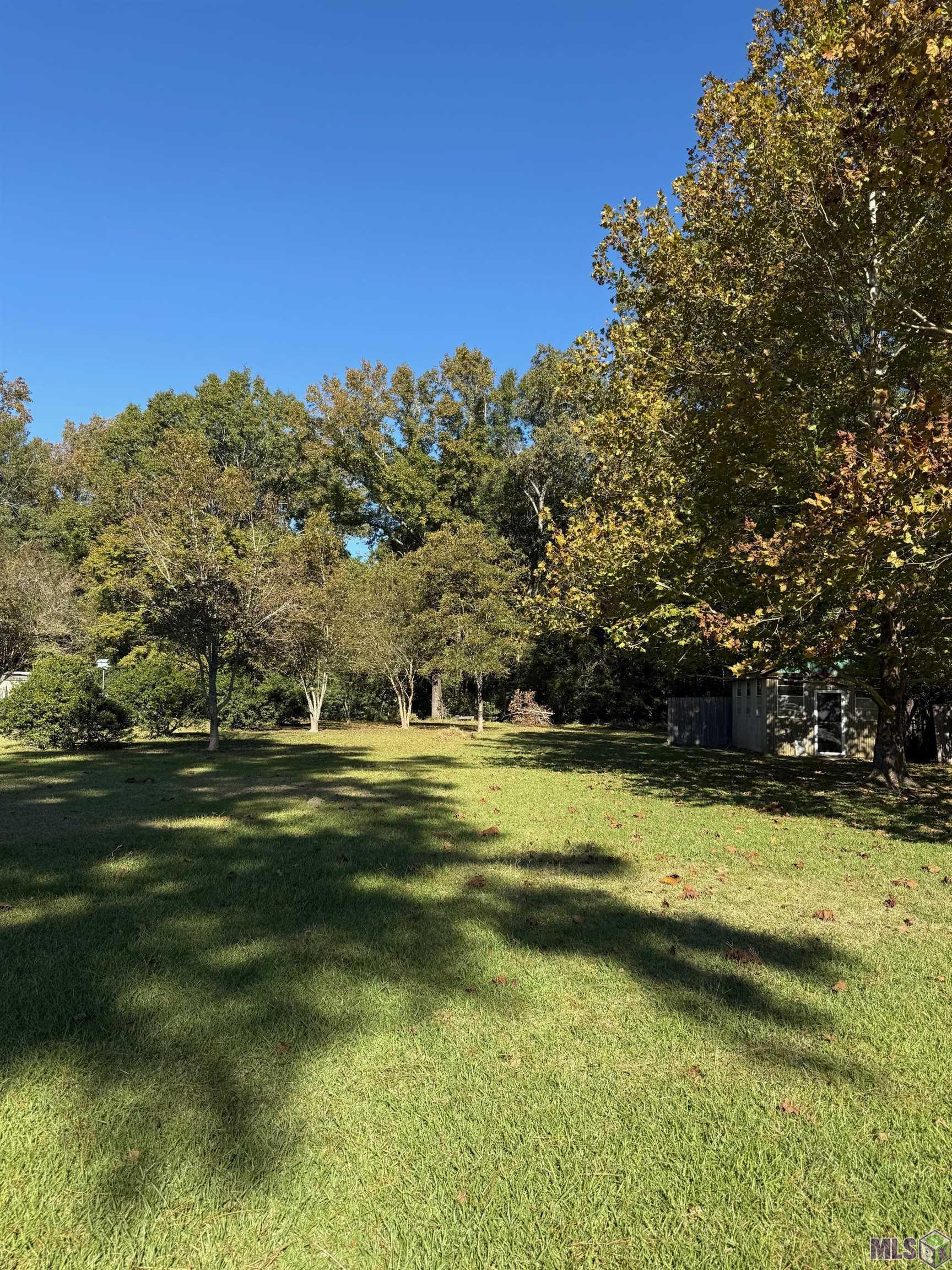 12323 Hooper Road Baton Rouge, LA 70818 - Photo 3 of 4