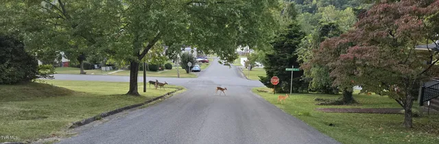 $334,500 | 113 West 2nd Street South, Big Stone Gap, VA 24219