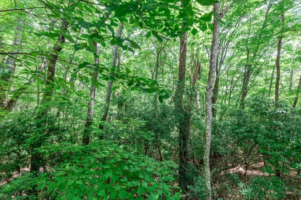 $47,500 | Lot 56 Indian Rock Springs, Murphy, NC 28906
