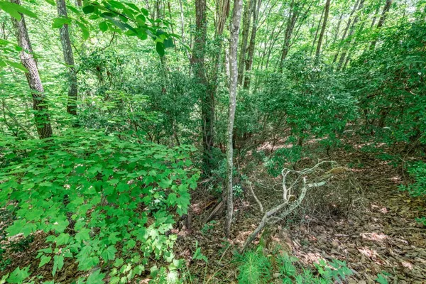 $47,500 | Lot 56 Indian Rock Springs, Murphy, NC 28906