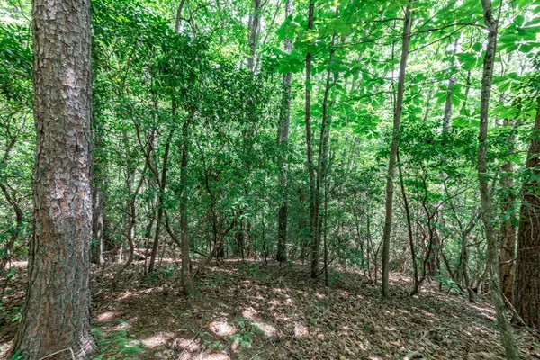 $47,500 | Lot 56 Indian Rock Springs, Murphy, NC 28906