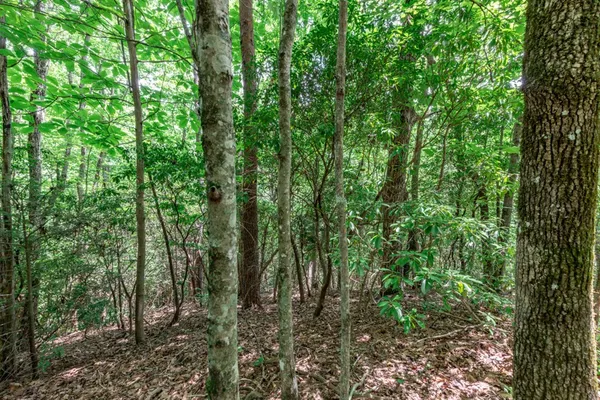 $47,500 | Lot 56 Indian Rock Springs, Murphy, NC 28906