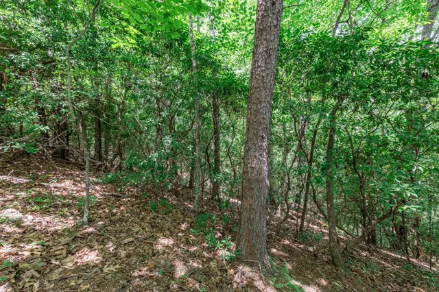 a view of outdoor space and trees