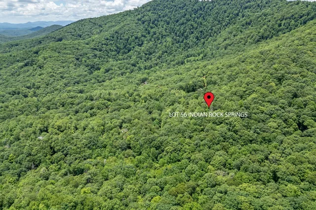 a view of a lush green field