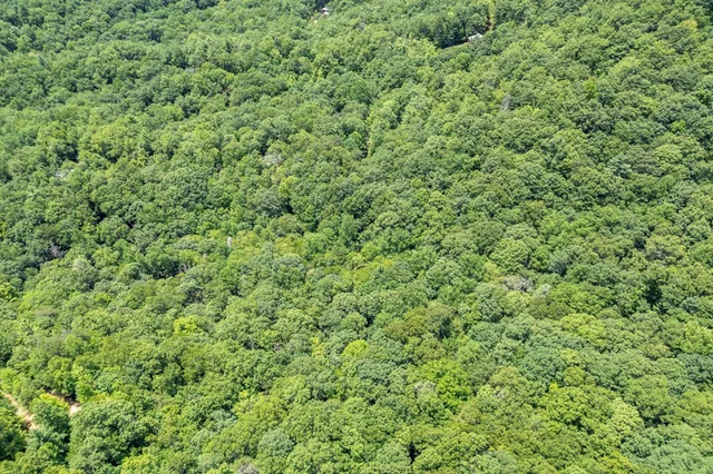 a view of a field of grass and trees