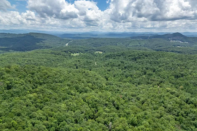 a view of a large yard with lots of green space