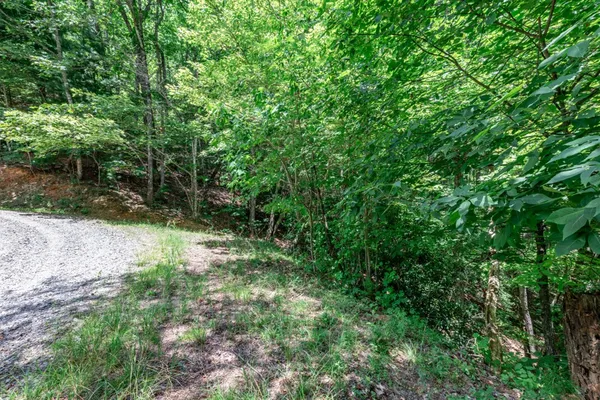 $47,500 | Lot 56 Indian Rock Springs, Murphy, NC 28906