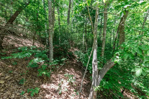 $47,500 | Lot 56 Indian Rock Springs, Murphy, NC 28906