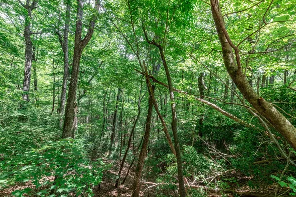 $47,500 | Lot 56 Indian Rock Springs, Murphy, NC 28906