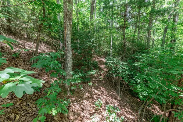 $47,500 | Lot 56 Indian Rock Springs, Murphy, NC 28906