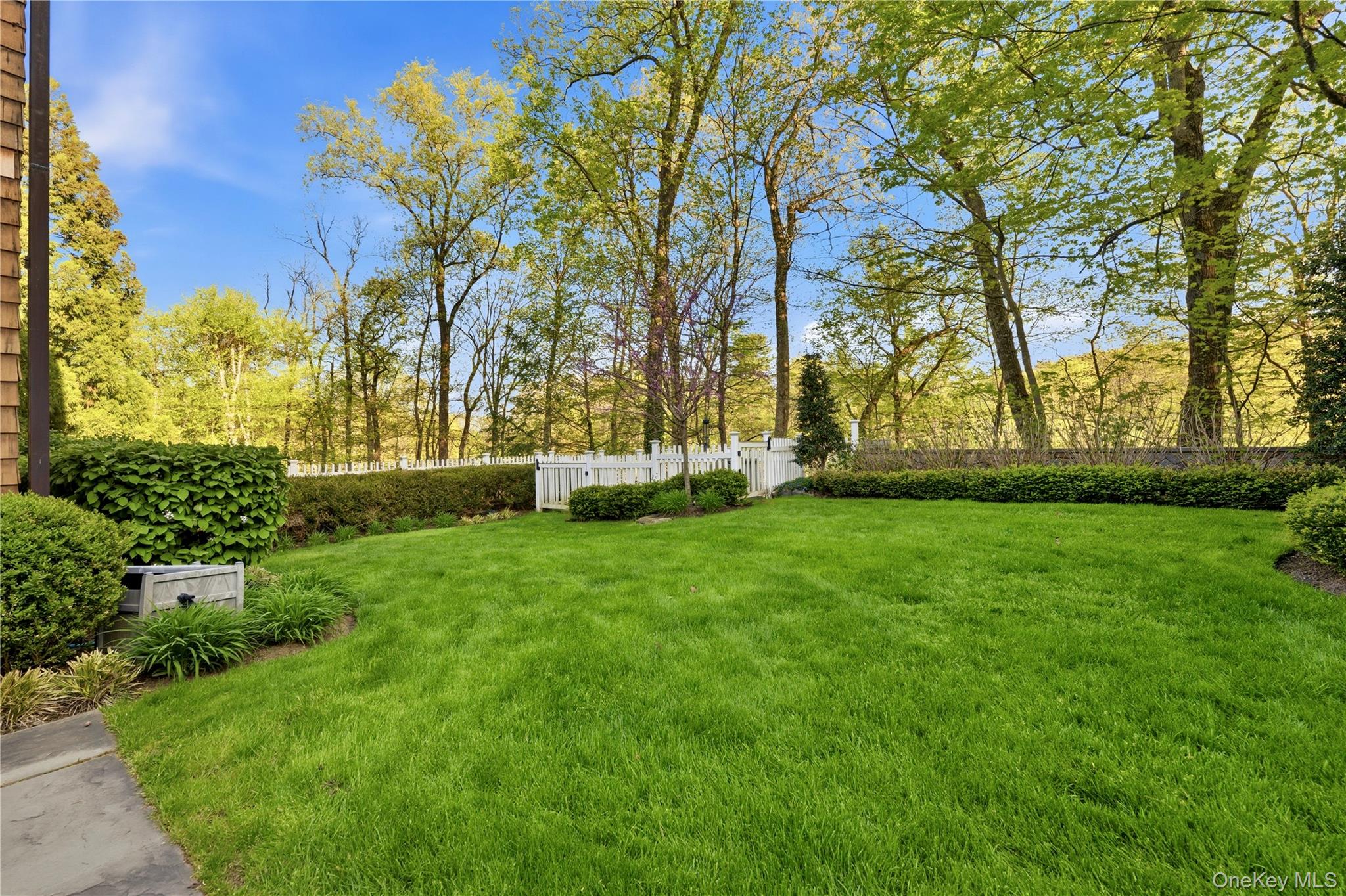 16 Wrights Mill Road Armonk, NY 10504 - Photo 45 of 49 a view of garden with trees