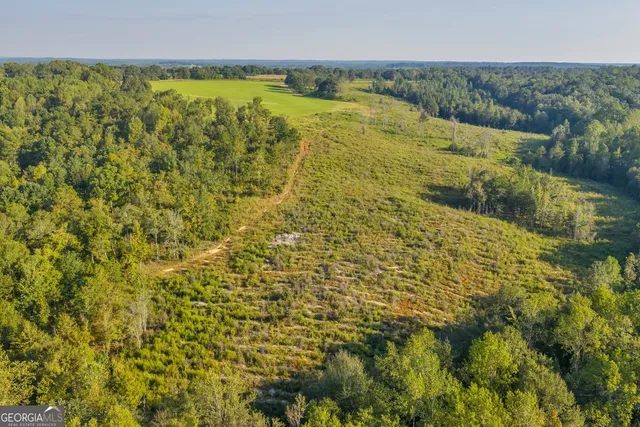 a view of a tree in a yard