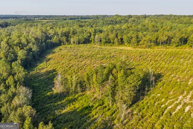 a view of lake with green space