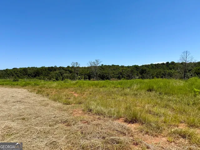 a view of a golf course with a lake