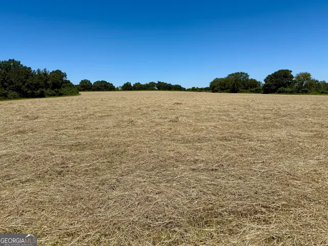 $899,000 | 4543 Highway 41, Buena Vista, GA 31803