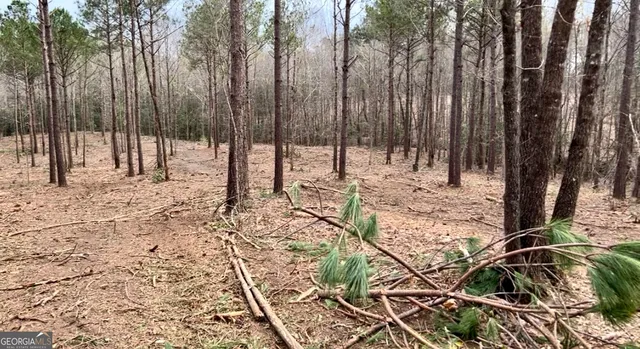 $899,000 | 4543 Highway 41, Buena Vista, GA 31803