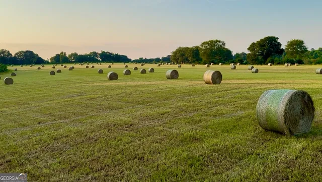 $899,000 | 4543 Highway 41, Buena Vista, GA 31803