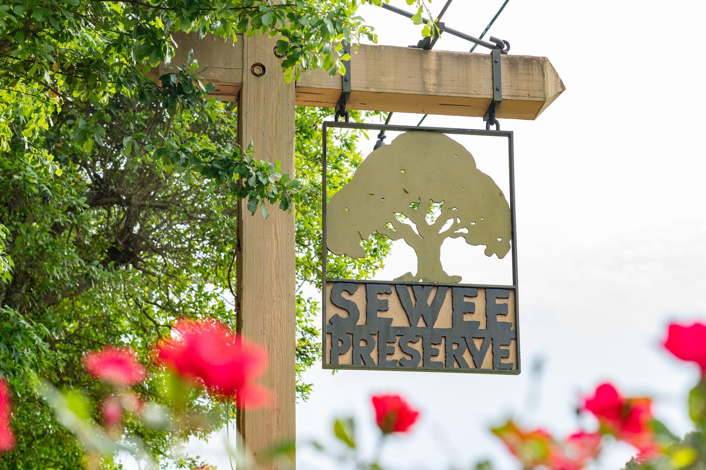 4169 Longmarsh Road Mount Pleasant, SC 29429 - Photo 103 of 113 mls_SeweePreserve-KeenEyeMarketing-040