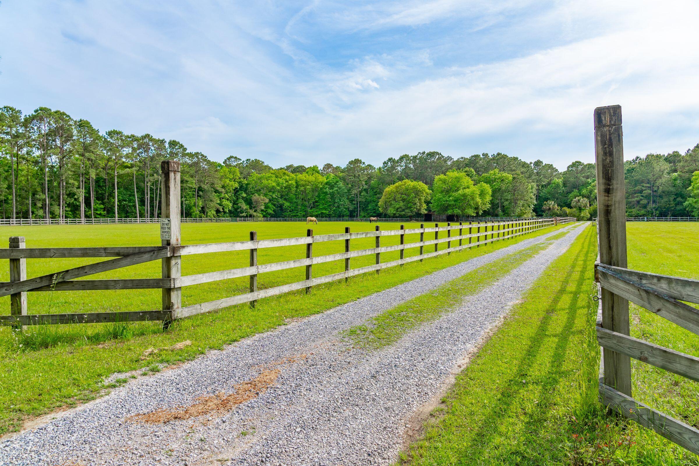 4169 Longmarsh Road Mount Pleasant, SC 29429 - Photo 105 of 113 Pastures
