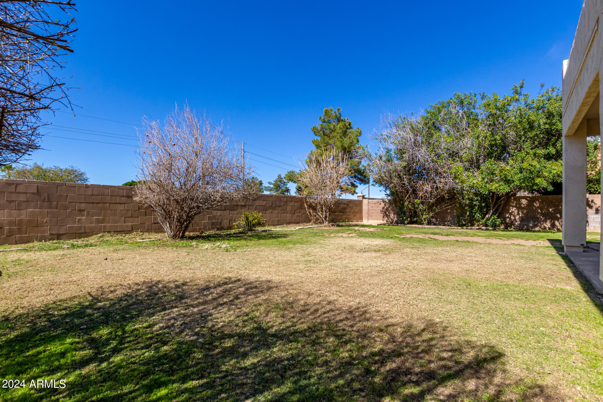 504 North Swallow Lane Gilbert, AZ 85234 - Photo 51 of 54 a view of a yard with an outdoor space