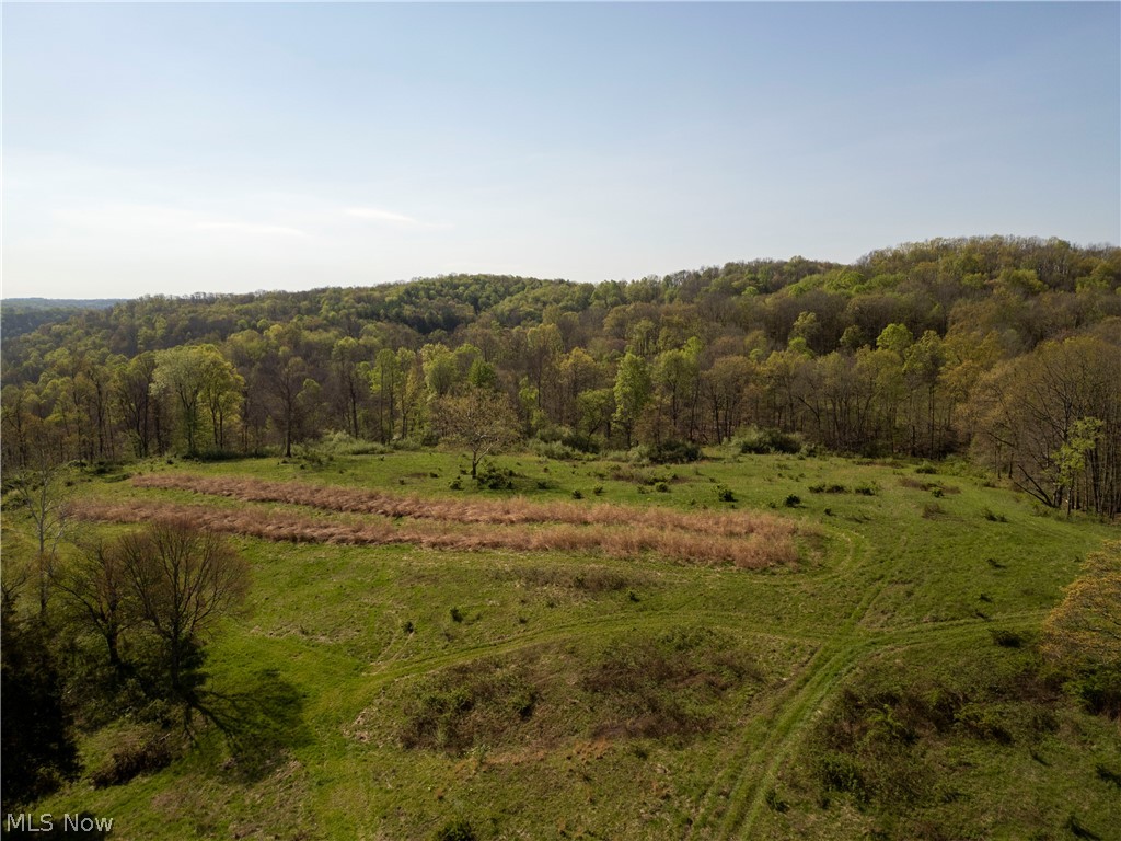 80960 Burkhart Road Tippecanoe, OH 44699 - Photo 18 of 50