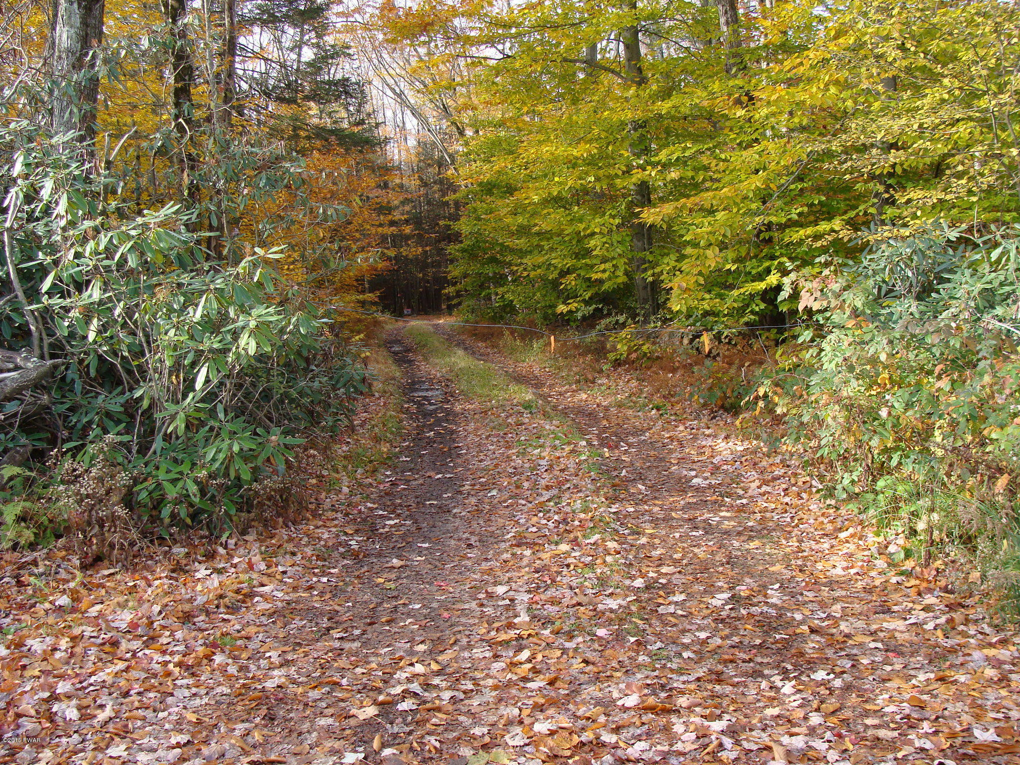 Beaver Dam Road Greentown, PA 18426 - Photo 1 of 6