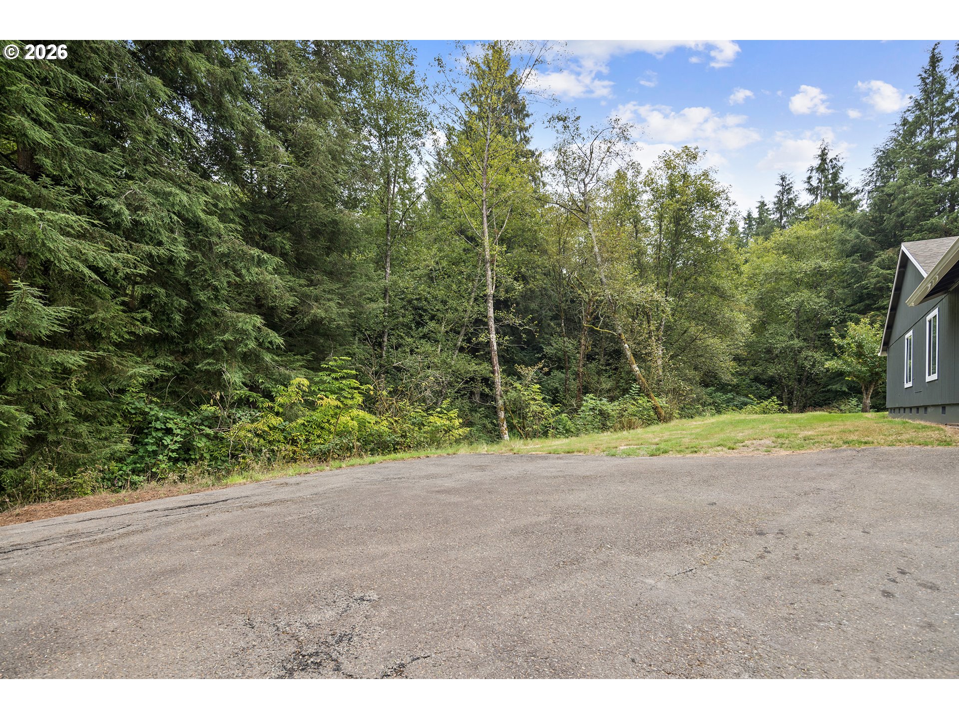 650 Marvin Road Tillamook, OR 97141 - Photo 40 of 48 a view of a yard with a tree