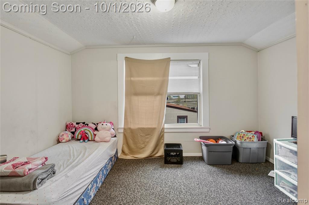82 Forest Street River Rouge, MI 48218 - Photo 17 of 30 Gallery Image 17