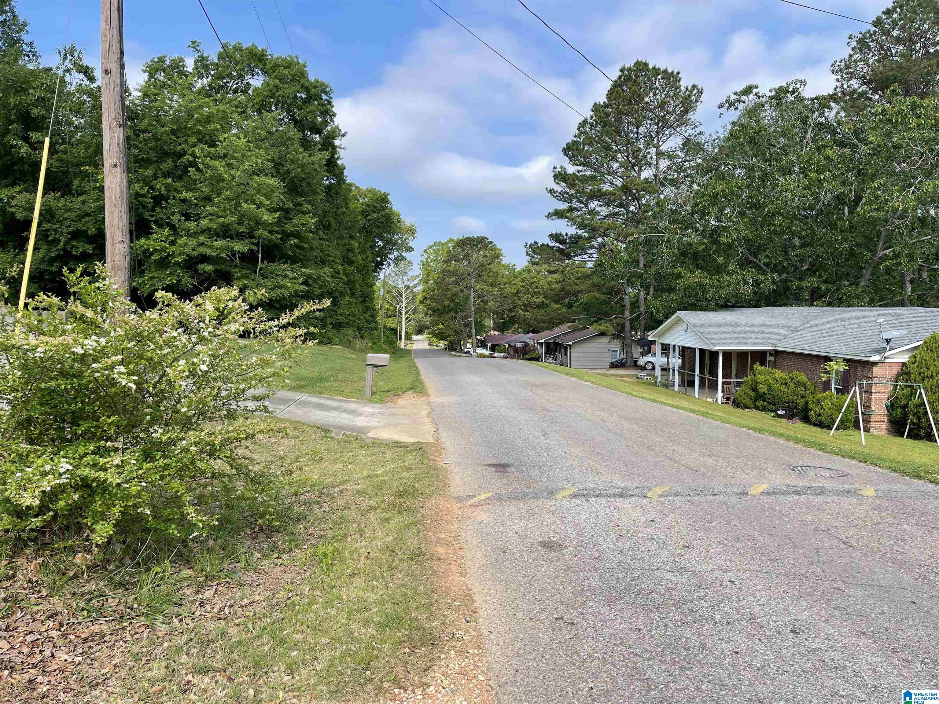 286 Eldred Street Lineville, AL 36266 - Photo 23 of 24