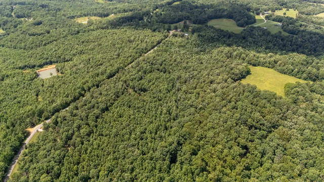 a bird view of a house