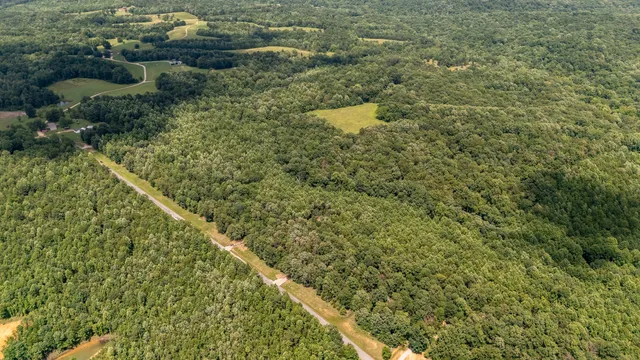a view of a small yard