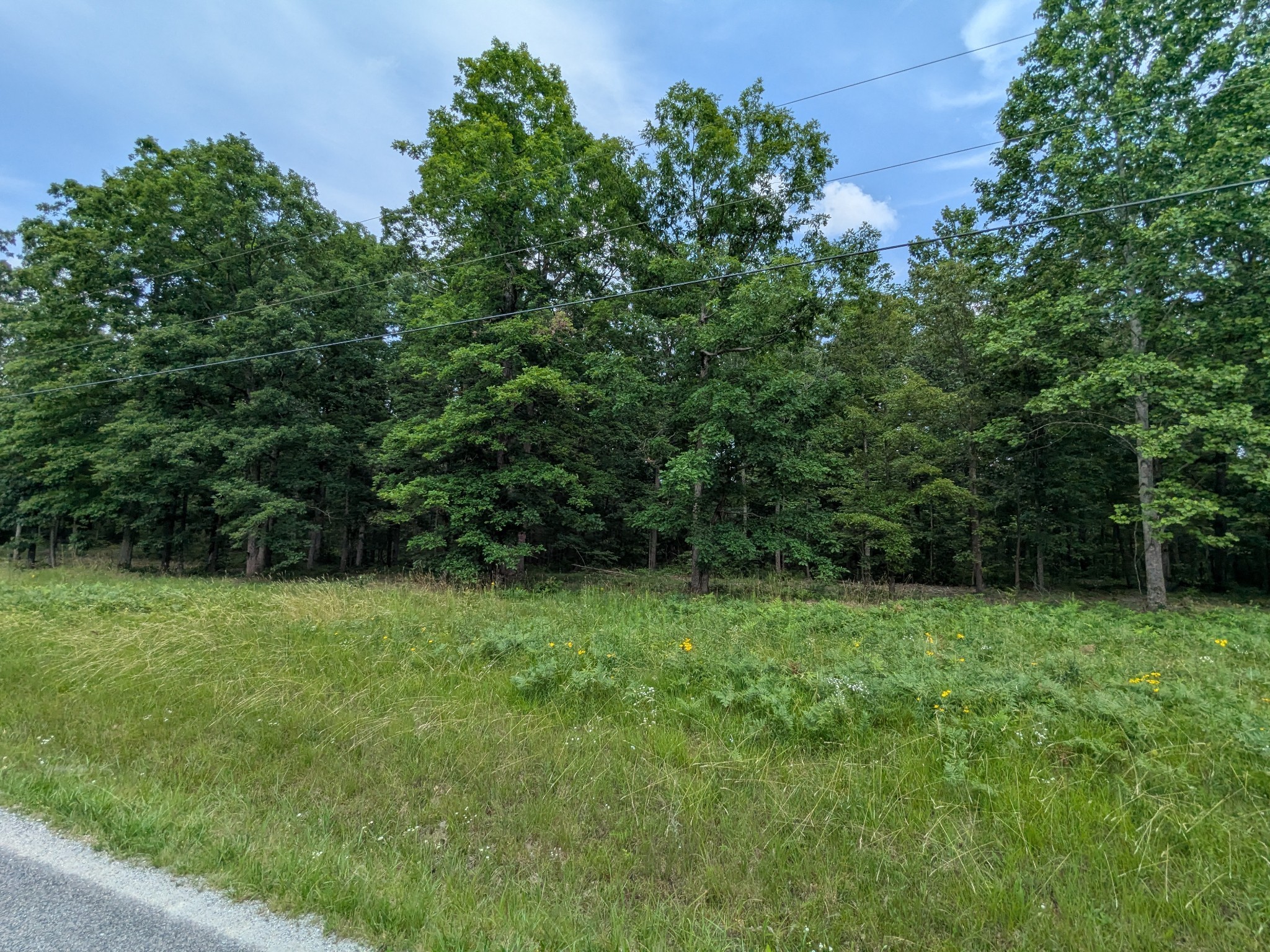 3 Brush Creek Road Lawrenceburg, TN 38464 - Photo 3 of 24