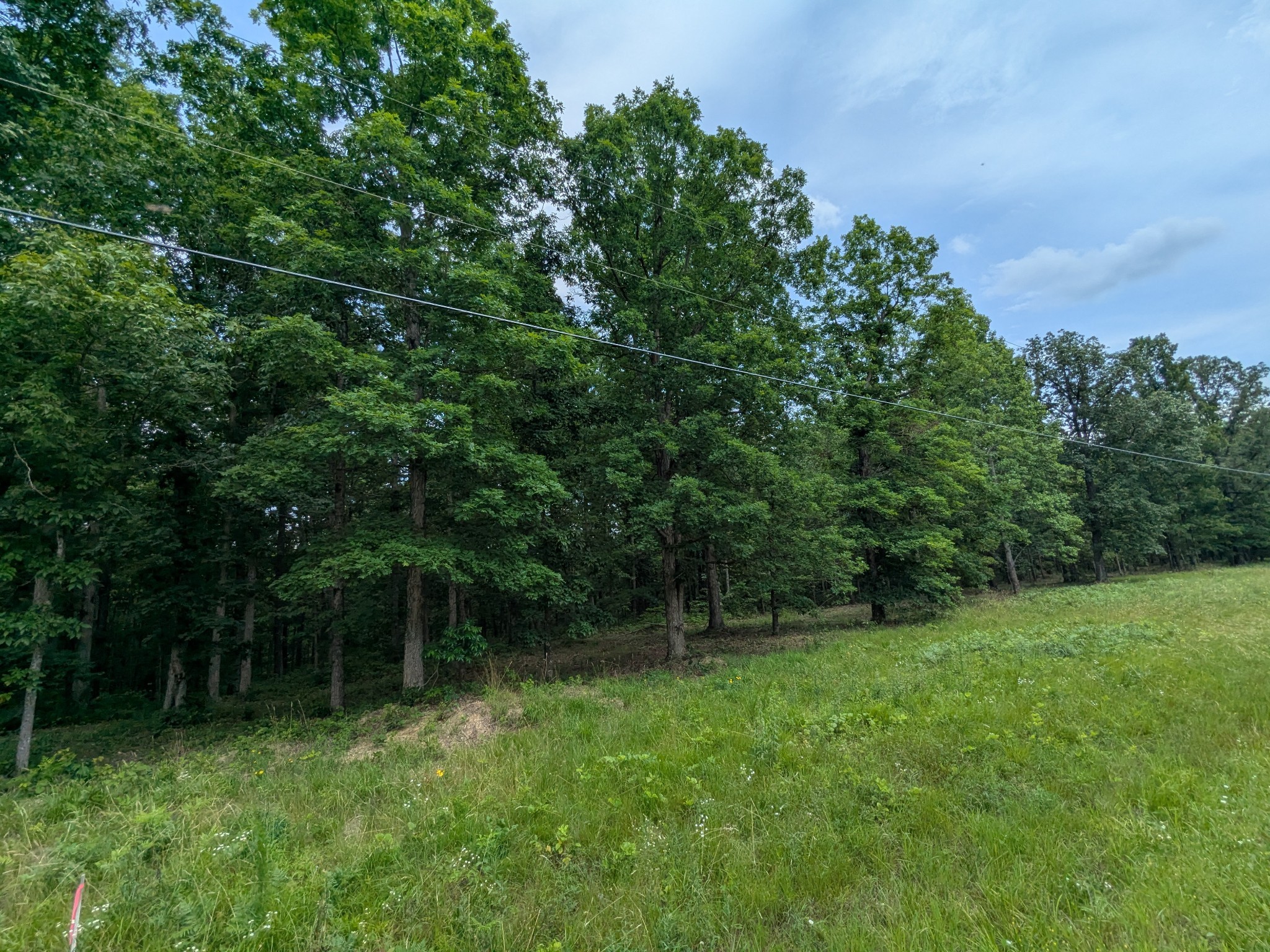 3 Brush Creek Road Lawrenceburg, TN 38464 - Photo 4 of 24