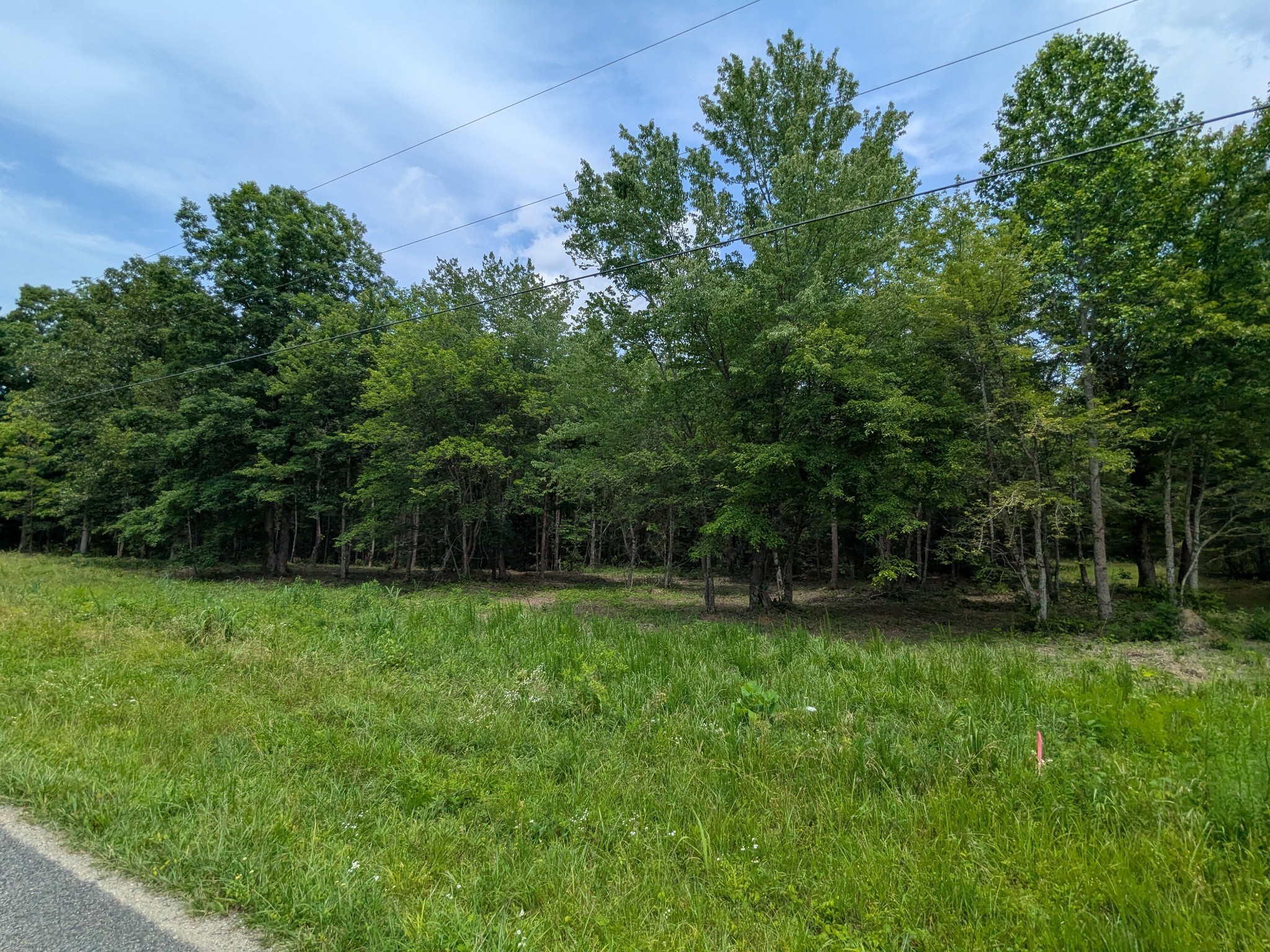 3 Brush Creek Road Lawrenceburg, TN 38464 - Photo 8 of 24