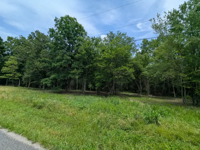 a view of a back yard