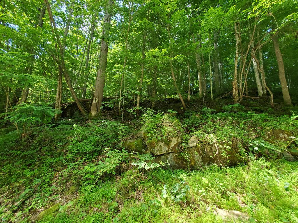 13466 Caney Valley Road, Unit 57 Abingdon, VA 24210 - Photo 13 of 13 Gallery Image 13