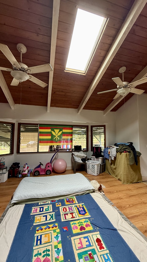 17-760 Volcano Road Kurtistown, HI 96760 - Photo 3 of 14