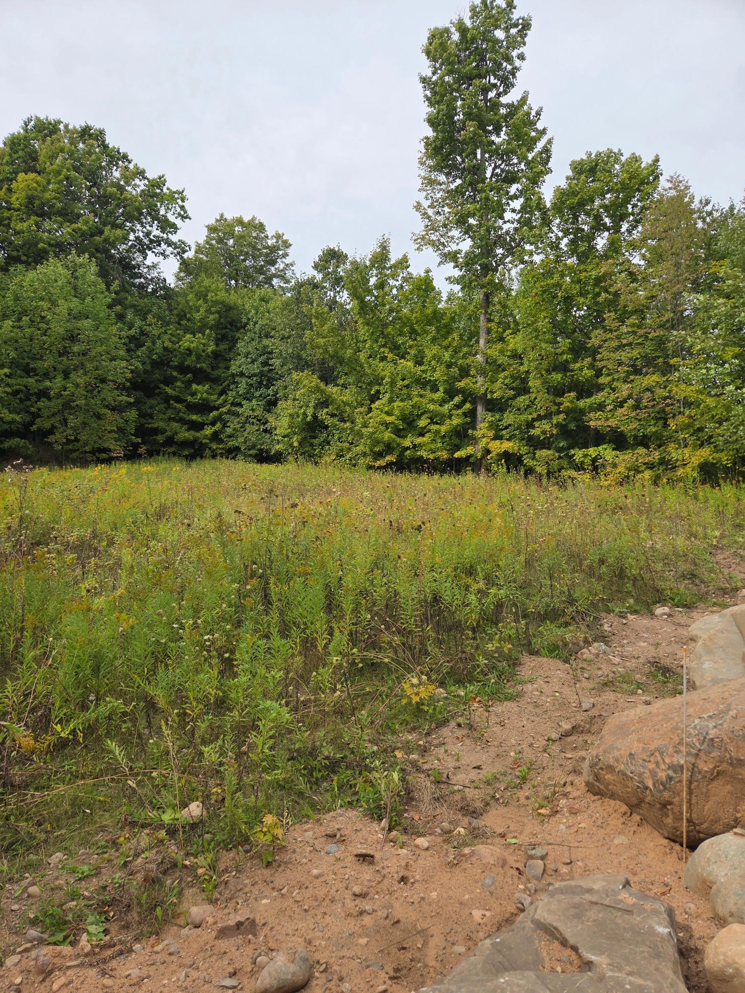 On High Ridge Road Deerbrook, WI 54424 - Photo 8 of 12 Gallery Image 8
