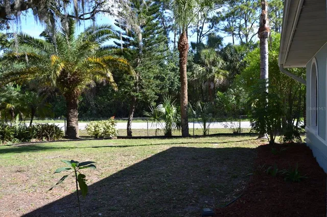 a view of a yard with plants and trees
