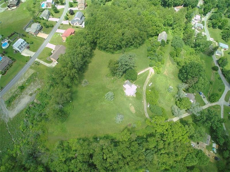a close up of a flower in a garden