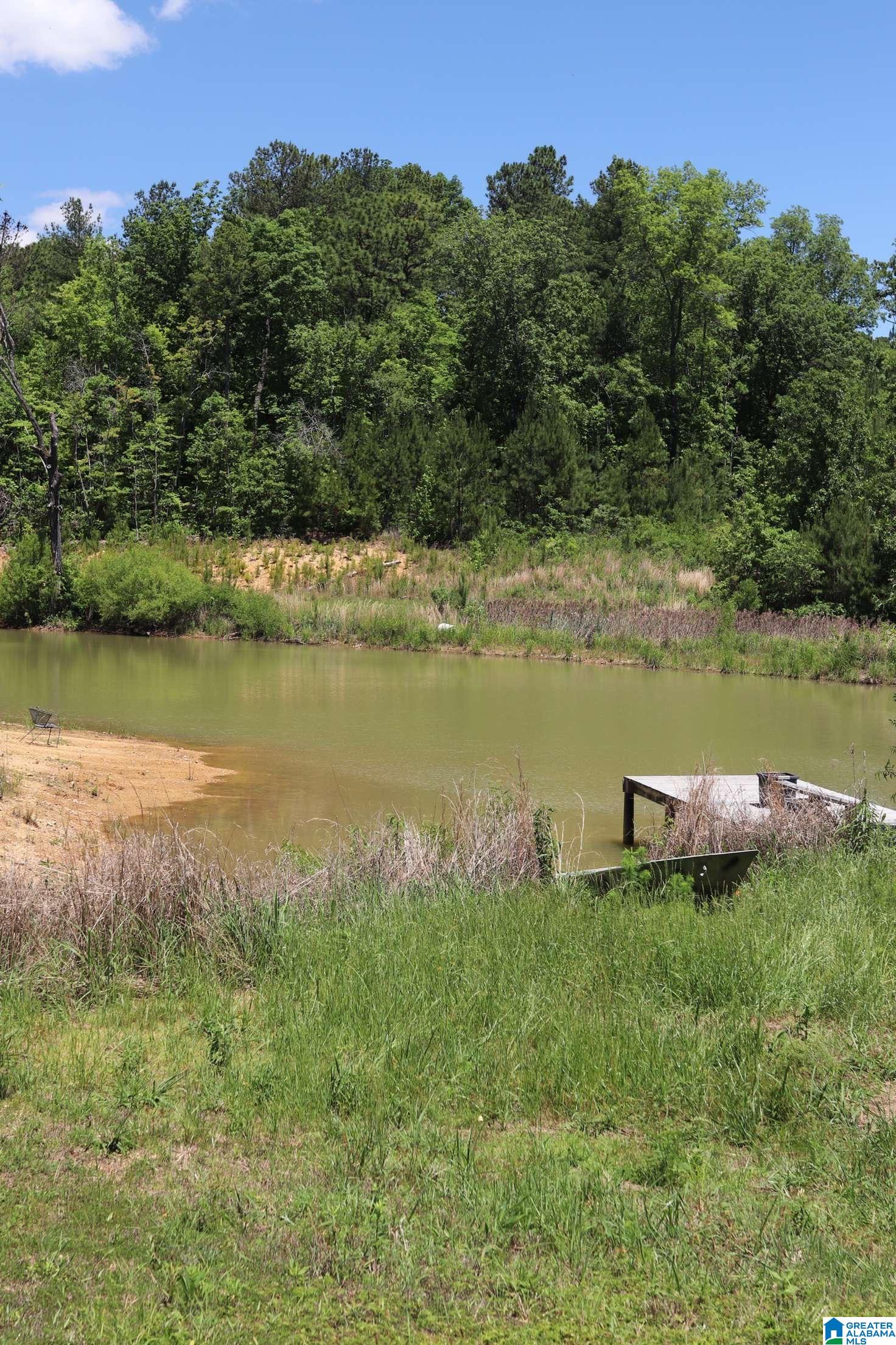 2930 Shocco Springs Road Talladega, AL 35160 - Photo 63 of 93