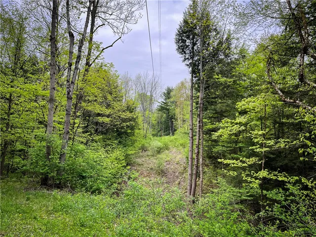 $189,900 | 0 East Spencer Road, Spencer, NY 14883