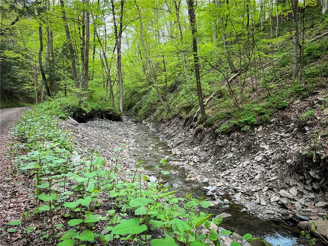 $189,900 | 0 East Spencer Road, Spencer, NY 14883