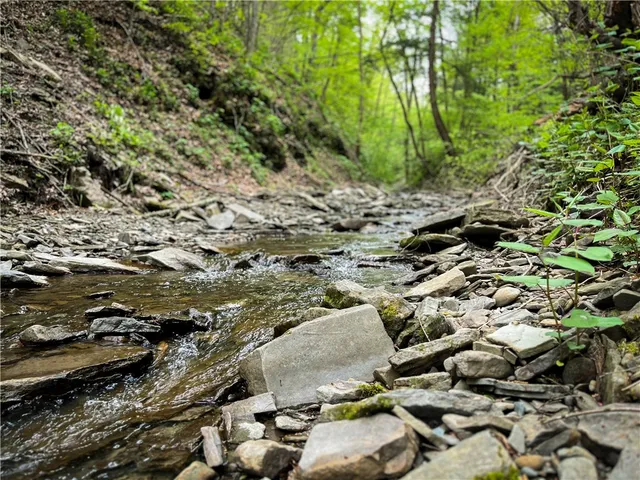 $189,900 | 0 East Spencer Road, Spencer, NY 14883