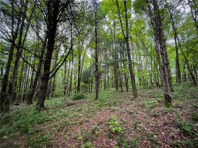 $189,900 | 0 East Spencer Road, Spencer, NY 14883