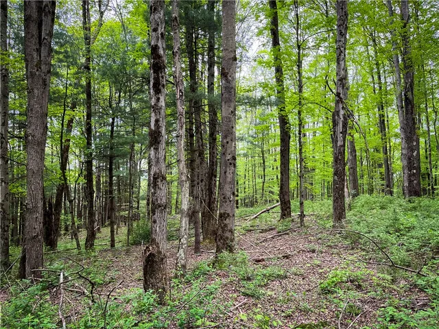 $189,900 | 0 East Spencer Road, Spencer, NY 14883