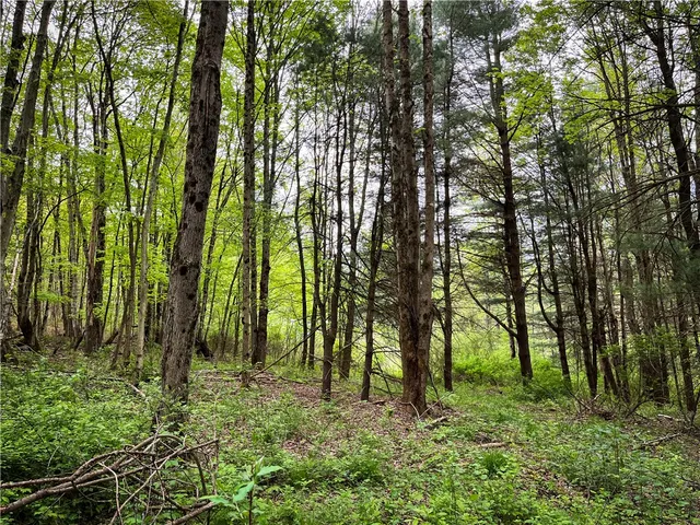 $189,900 | 0 East Spencer Road, Spencer, NY 14883