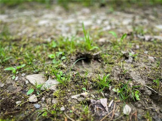 $189,900 | 0 East Spencer Road, Spencer, NY 14883