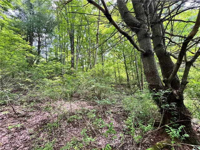 $189,900 | 0 East Spencer Road, Spencer, NY 14883