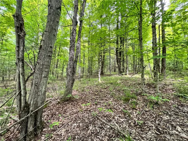 $189,900 | 0 East Spencer Road, Spencer, NY 14883